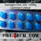 Kamagra Oral Jelly 100Mg How To Use viagra1
